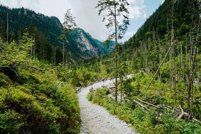 W drodze na Dolinę Pięciu Stawów Polskich... 🏞️⛰️🥰

#tatry #bialkatatrzanska #góry #polska #podhale #hotel #pensjonat #zelaznewrota
#bukowinatatrzanska #nocleg #pensjonatwgorach #odpocznijwgórach #małopolskie
#małopolska #slow #odpoczynek #wędrowanie #turystyka #polska